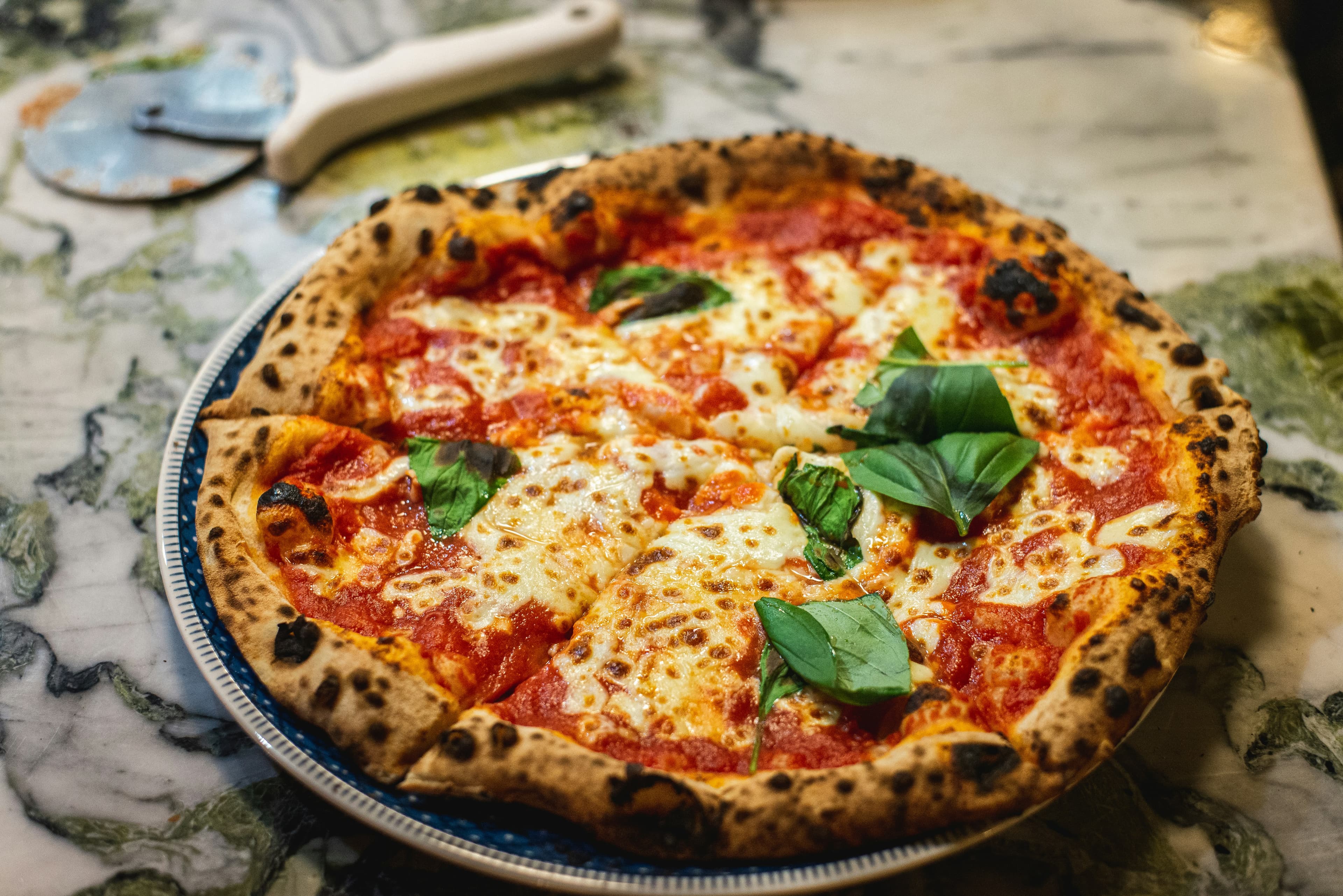 Best Outdoor Pizza Ovens