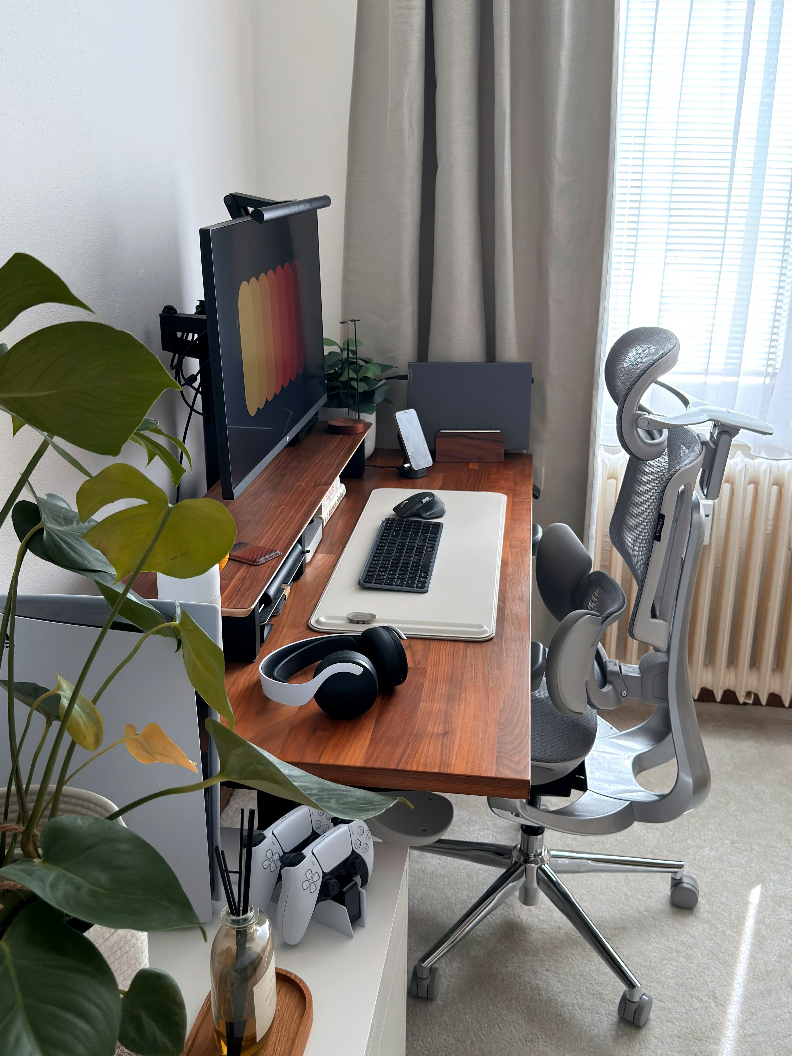 Branch Ergonomic Chair